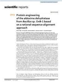 Protein Engineering of the Aldoxime Dehydratase from Bacillus Sp. Oxb