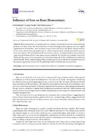 Influence of Iron on Bone Homeostasis