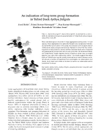 An Indication of Long-Term Group Formation in Tufted Duck Aythya Fuligula