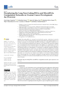 Deciphering the Long Non-Coding Rnas and Micrornas Coregulation Networks in Ovarian Cancer Development: an Overview