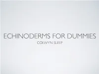 Echinoderms for Dummies Colwyn Sleep Echinoderm Classification and Examples