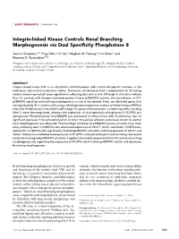 Integrin-Linked Kinase Controls Renal Branching Morphogenesis Via Dual Speciﬁcity Phosphatase 8