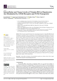 Intracellular and Tissue Levels of Vitamin B12 in Hepatocytes Are Modulated by CD320 Receptor and TCN2 Transporter