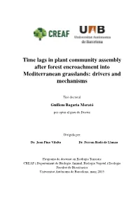 Time Lags in Plant Community Assembly After Forest Encroachment Into Mediterranean Grasslands: Drivers and Mechanisms
