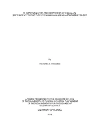University of Florida Thesis Or Dissertation