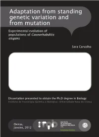 Adaptation from Standing Genetic Variation and from Mutation
