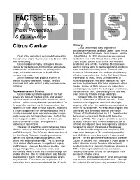 Citrus Canker