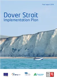 Dover Strait Implementation Plan