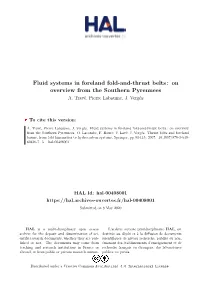 Fluid Systems in Foreland Fold-And-Thrust Belts : on Overview from the Southern Pyrennees A