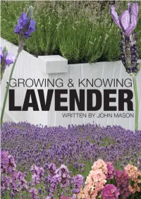 Growing and Knowing Lavender