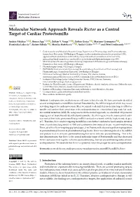 Molecular Network Approach Reveals Rictor As a Central Target of Cardiac Protectomirs