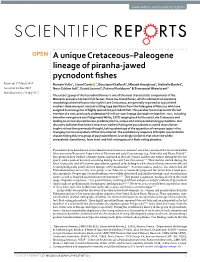 A Unique Cretaceous–Paleogene Lineage of Piranha-Jawed