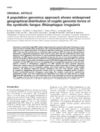 A Population Genomics Approach Shows Widespread Geographical Distribution of Cryptic Genomic Forms of the Symbiotic Fungus Rhizophagus Irregularis