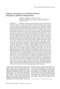 Cephalic Neurulation in the Mouse Embryo Analyzed by SEM and Morphometry