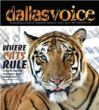 In-Sync Exotics Sanctuary Puts Felines First