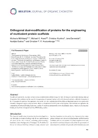 Orthogonal Dual-Modification of Proteins for the Engineering of Multivalent Protein Scaffolds