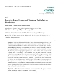 Projective Power Entropy and Maximum Tsallis Entropy Distributions