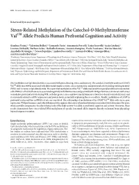 Stress-Related Methylation of the Catechol-O-Methyltransferase Val158 Allele Predicts Human Prefrontal Cognition and Activity