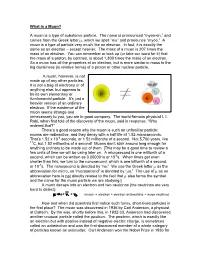 What Is a Muon?