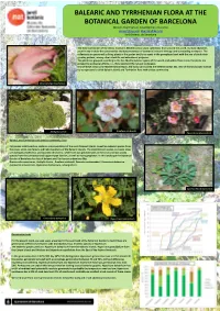 Balearic and Tyrrhenian Flora at the Botanical