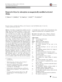 Removal of Dyes by Adsorption on Magnetically Modified Activated