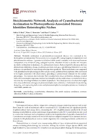 Stoichiometric Network Analysis of Cyanobacterial Acclimation to Photosynthesis-Associated Stresses Identifies Heterotrophic