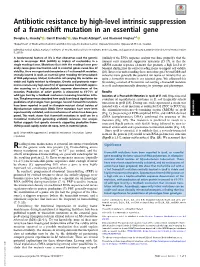 Antibiotic Resistance by High-Level Intrinsic Suppression of a Frameshift Mutation in an Essential Gene