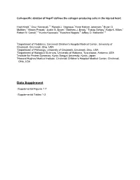Data Supplement