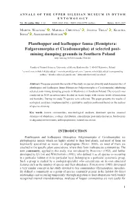 Planthopper and Leafhopper Fauna (Hemiptera: Fulgoromorpha Et
