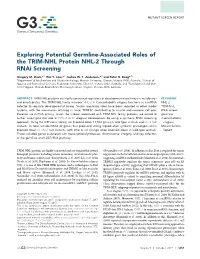 Exploring Potential Germline-Associated Roles of the TRIM-NHL Protein NHL-2 Through Rnai Screening