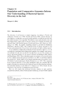 Population and Comparative Genomics Inform Our Understanding of Bacterial Species Diversity in the Soil
