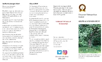 Selfie Scavenger Hunt About DCR Discover Your State Parks