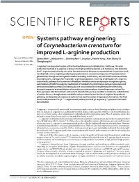 Systems Pathway Engineering of Corynebacterium Crenatum for Improved L-Arginine Production