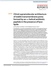 Chiral Supramolecular Architecture of Stable Transmembrane Pores