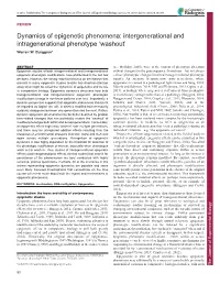 Dynamics of Epigenetic Phenomena