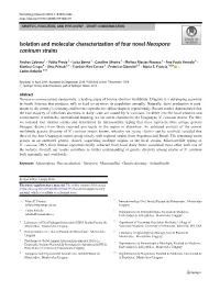 Isolation and Molecular Characterization of Four Novel Neospora Caninum Strains