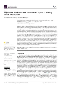 Regulation, Activation and Function of Caspase-11 During Health and Disease