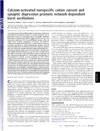 Calcium-Activated Nonspecific Cation Current and Synaptic Depression Promote Network-Dependent Burst Oscillations