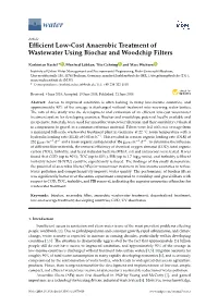 Efficient Low-Cost Anaerobic Treatment of Wastewater Using Biochar and Woodchip Filters