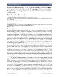 First Record of the Mourning Gecko, Lepidodactylus Lugubris (Duméril & Bi- Bron), from the Turks and Caicos Islands with Additional Observations from the Bahamas
