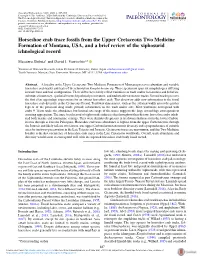 Horseshoe Crab Trace Fossils from the Upper Cretaceous Two Medicine Formation of Montana, USA, and a Brief Review of the Xiphosurid Ichnological Record