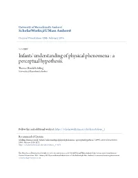 Infants' Understanding of Physical Phenomena : a Perceptual Hypothesis