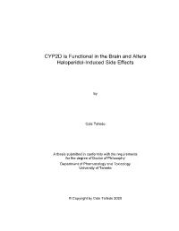 Thesis Template