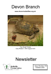 Devon Branch Newsletter