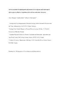 Life on an Island: the Phylogenetic Placement of Loveridgeana and Afrotropical Sphaerophoria (Diptera: Syrphidae) Inferred From