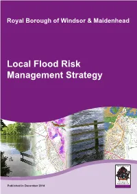 Local Flood Risk Management Strategy