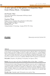 A New Species of the Genus Trichagalma Mayr from China (Hym.: Cynipidae)