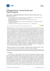 A Single-Neuron: Current Trends and Future Prospects