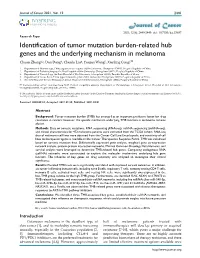Identification of Tumor Mutation Burden-Related Hub Genes and the Underlying Mechanism in Melanoma