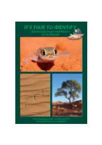 Welcome to the Identification Guide!